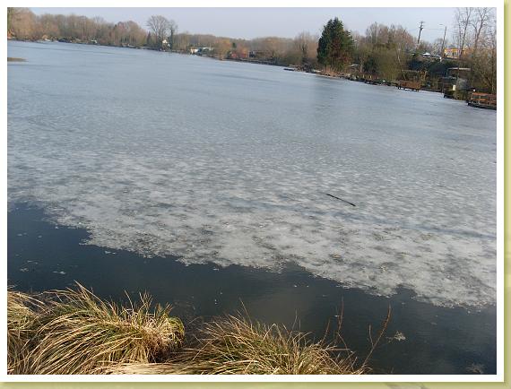 Fechain_18.02.2010 (6)
